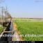 Chinadrip Garden systems sprinkler drip irrigation