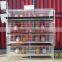 Chiken Egg Poultry Farm Equipment/chicken Cage for Sale/automatic Chicken Layer Cage