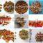 Dog food pellet making machines/Kibble dog food machine/processing machinery