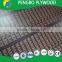wood formwork ply 15mm
