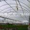 RoughBrothers PolyArch-RD2 Muli-span Galvanized Steel Frame vegetable and flower greenhouse