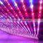 Plant Grow Led Epileds Chip Led Red and Blue Led for Plants,660nm Led 460nm Led