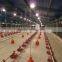 125x21x2.5m light steel structure chicken house in middle east
