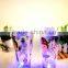 16OZ LED light double Wall BPA free plastic tumbler with straw