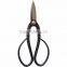 Bonsai Shears