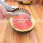 Stainless Steel Watermelon Slicer and Server set