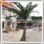 China Supplier Cheap Plastic Coconut Tree Price Fake Coconut Palm Plant Tree for Sale