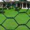 Longma PVC Hexagonal Wire Netting