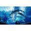 Acrylic Tunnel