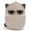 plush animal toy grumpy funny expression cat mini key chain