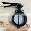 2 inch ptfe wafer type Ductile Iron cast iron stainless steel butterfly valve price list