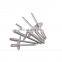 4.8*19mm Large Flange Blind Rivet Din7337 Dome Head Pop Rivet 5052 Aluminum Blind Rivet