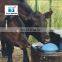 Livestock water bowl with float valve for horse stable cattle equipment