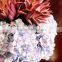 Factory hotsell hydrangea bundle