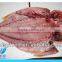 Frozen Mexican yellow croaker fish on sale