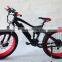 electric bike /Full suspension fat bike