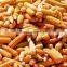 Yellow corn/Yellow maize for animal feed production