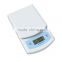 electronic kitchen scale plastic platform small food weighing scale 5kg digital scale the most cheapest food scale model