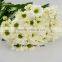 Festival Christmas Wedding Flowers Chrysanthemum Vietnam With 10 Stems/Bundle Flower Small Chrysanthemum With 0.5kg/Bundle Chrys