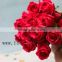 Many Types Best Selling Fresh Cut Flowers Pink Roses Beekeeping Flower From Yunnan, China