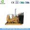 Micro CHP LPG LNG CNG natural gas generator 300kw for sale
