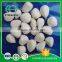 New Crop Finely Processed Garlic Cloves In Brine