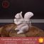 2016 New Design Unpainted Ceramic White Squirrel Figurines For Garden Ornament,