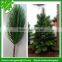 Artificial PE Christms Tree Branch