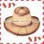 Cheap Plain wholesale Cowboy straw hat for children
