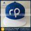 Professionally cap manufacturer custom fabrics cotton flat brim embroidery caps