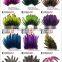 Wholesale Bulk dyed Multicolor Laced Hen Loose guinea Feathers for party decoration