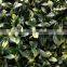 Plastic artificial hedge fence wall