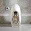 ceramics Intelligentize Electronic toilet DIA1105