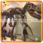 KANO5105 Museum Exhibition Customized Artificial Playground Dinosaur Skeleton
