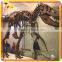 KANO5105 Museum Exhibition Customized Artificial Playground Dinosaur Skeleton