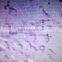 Fibrous hyperplasia of bone sec. oral histology pathology parasitology prepared slides