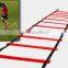 Adjustable Speed Double Agility Ladder