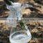 Pure Natural Loofah Extract