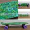 22" Plastic original board Skateboards