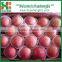 2016 New Season Juicy Grade A selected fresh apples for sale