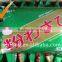 Green Color Wasabi Powder