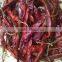Chilies