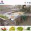 High capacity Industrial pepper onion ginger processing machine