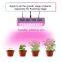 600w Double Chips LED Grow Light Full Specturm for Greenhouse and Indoor Plant Flowering Growing (5w Leds)