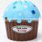 Wholesale Stock Small Order Ice Cream Plastic Tissues Storage Box Napkin Holder