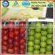 Thermoformed Blister Protective Food Grade PP Plastic Apple Tray with Competitive Price