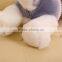 wholesale Christmas gift plush lying dog grey and white plush Siberian Husky for children gifts