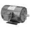 LINCOLN Single Phase TEFC Signature Resilient Base DP Series