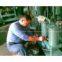 Portable Oil Purifier and Oiling Machine