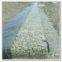 Sack Gabion